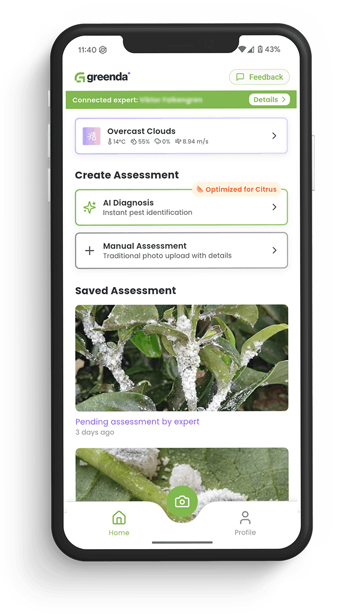 Celulares aplicativo