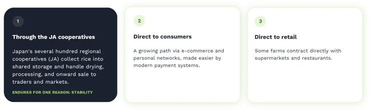 Infographic showing Japan's three rice distribution channels: JA agricultural cooperatives, direct-to-consumer e-commerce, and direct retail contracts