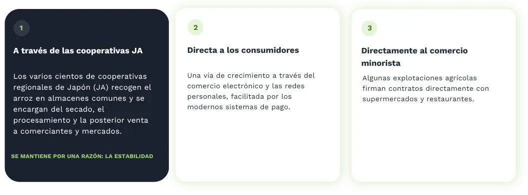 Infografía en español con los tres canales de distribución del arroz en Japón: cooperativas JA, venta directa al consumidor y contratos con comercio minorista