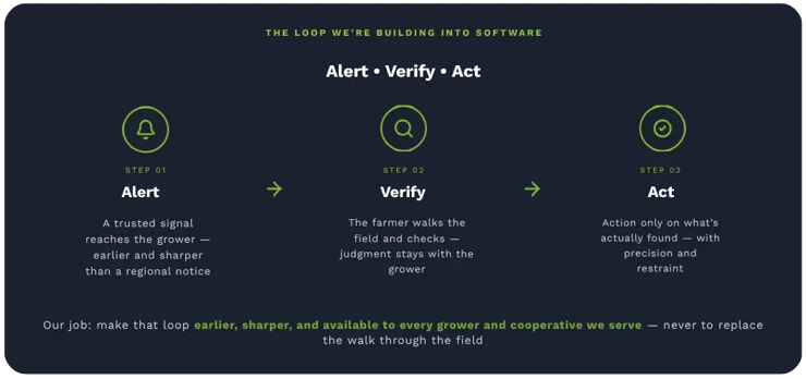 Greenda's alert-verify-act framework for cooperative pest management: Step 1 Alert sends a trusted early warning to growers, Step 2 Verify has the farmer check their own field, Step 3 Act means applying crop protection only on evidence found