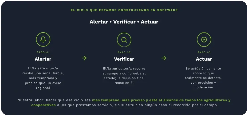 Infografía del ciclo de software de greenda.ai en español: tres pasos de asesoramiento agrícola de precisión — Alertar, Verificar y Actuar