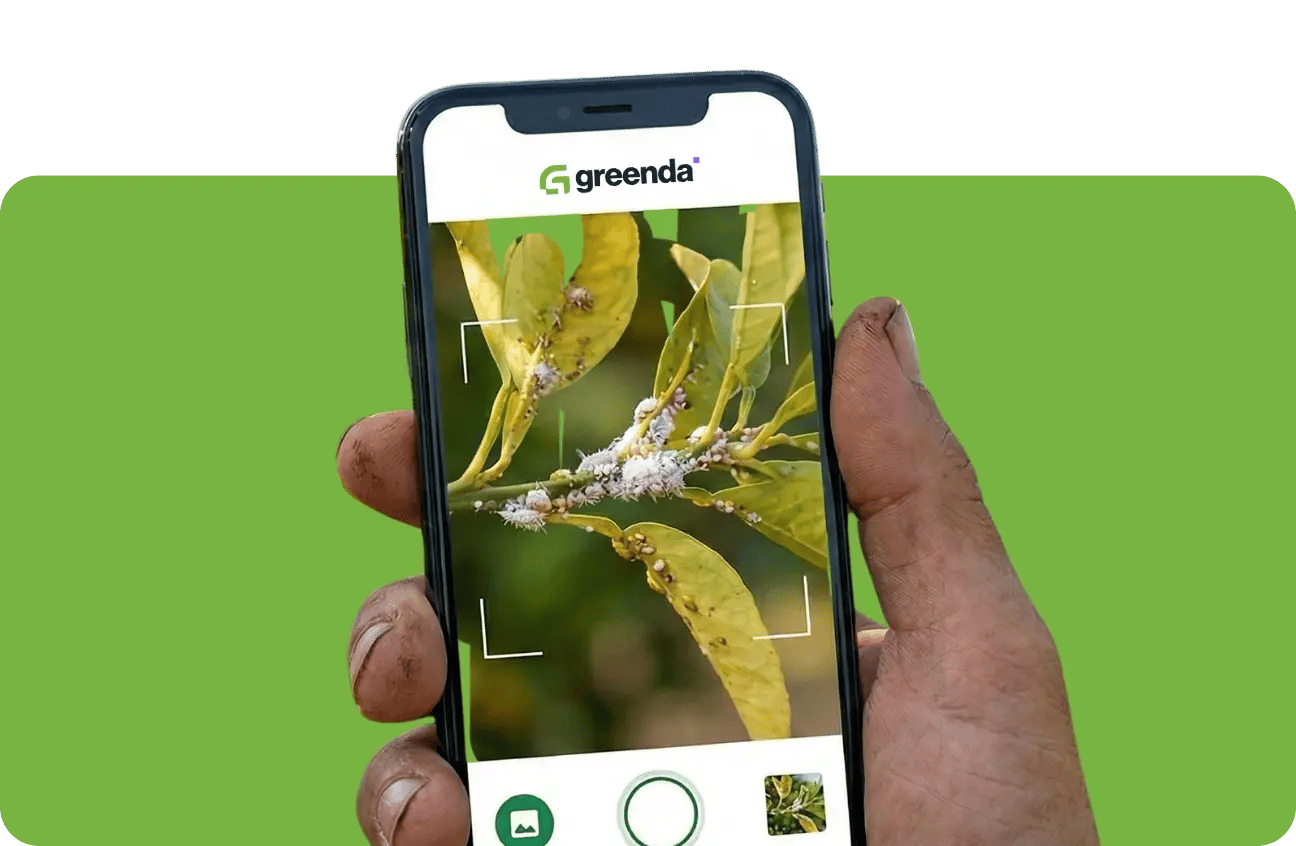 Open the app and upload photos of what you see on your farm. You don't need to describe it perfectly or know what it is. Just show us what looks wrong — as many photos as you need.