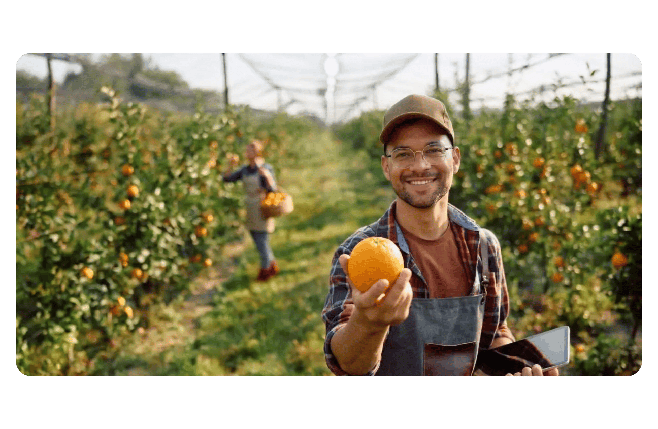 You get straightforward advice: the right product, the right dose, and the right timing for your trees.