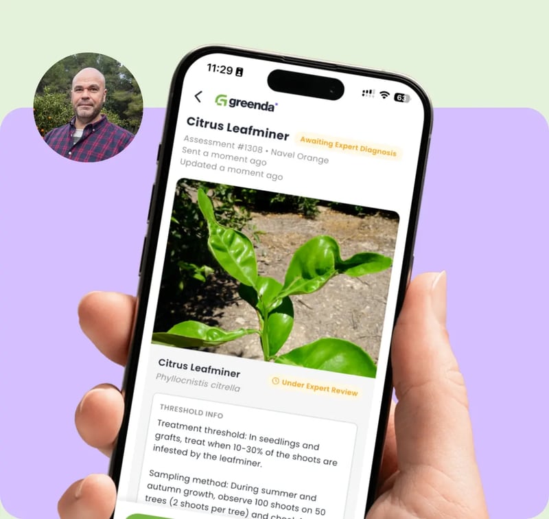 Take a photo of your grove. A certified agronomist from your region reviews your case and tells you exactly when and what to treat.
Free for citrus farmers. Independent advice. Nothing to sell.