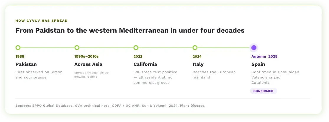 English timeline showing CYVCV yellow vein clearing virus spread from Pakistan in 1988 to confirmed detection in Spain's Comunidad Valenciana and Catalonia in autumn 2025