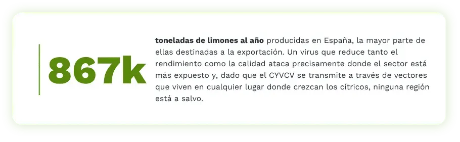 Tarjeta estadística en español: España produce 867.000 toneladas de limón al año para exportación con alerta sobre el riesgo del CYVCV para el sector citrícola español