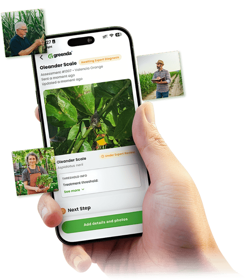 teléfono de mano 10 teléfono de mano 10