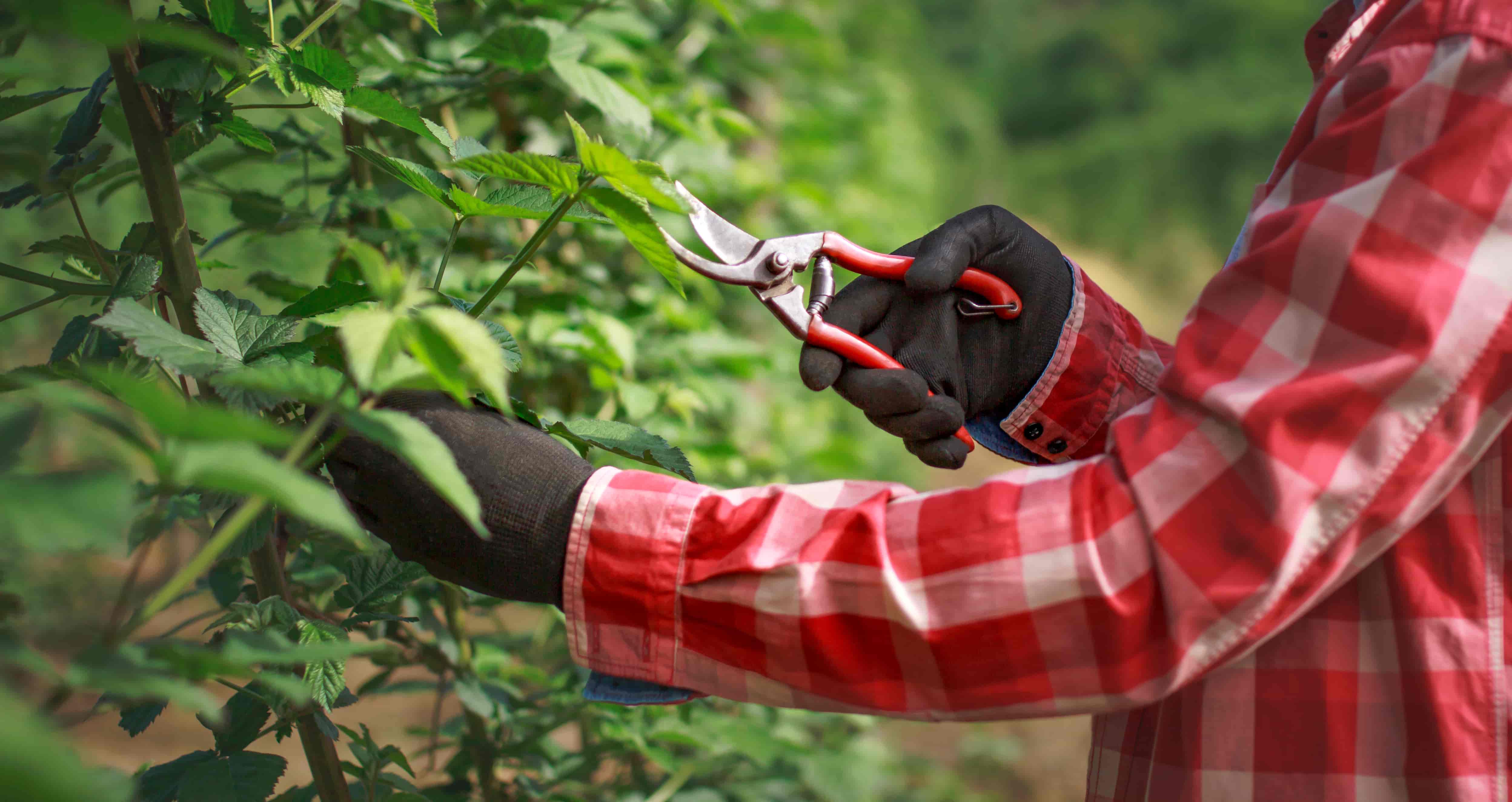 iStock-2210411502 (1)