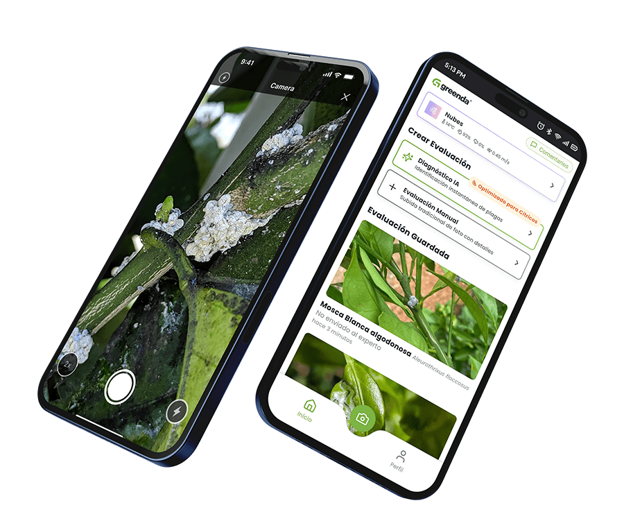 mockup step 1-min (2)