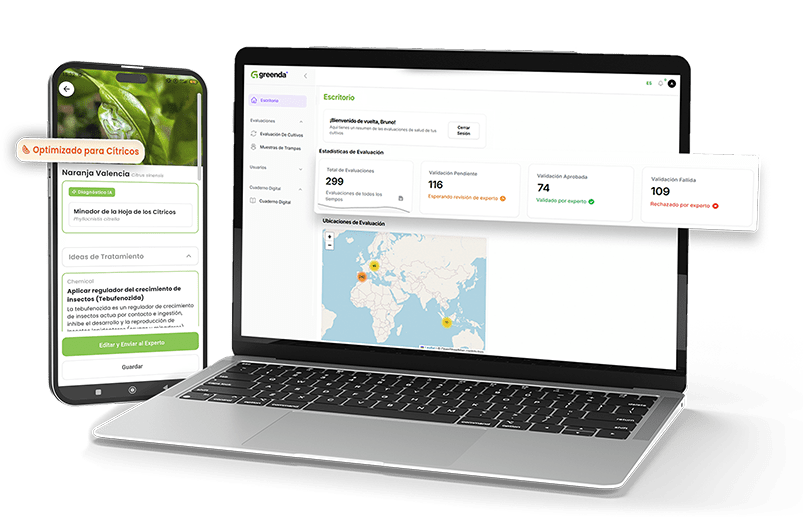 mockup step 2 v2-min mockup step 2 v2-min
