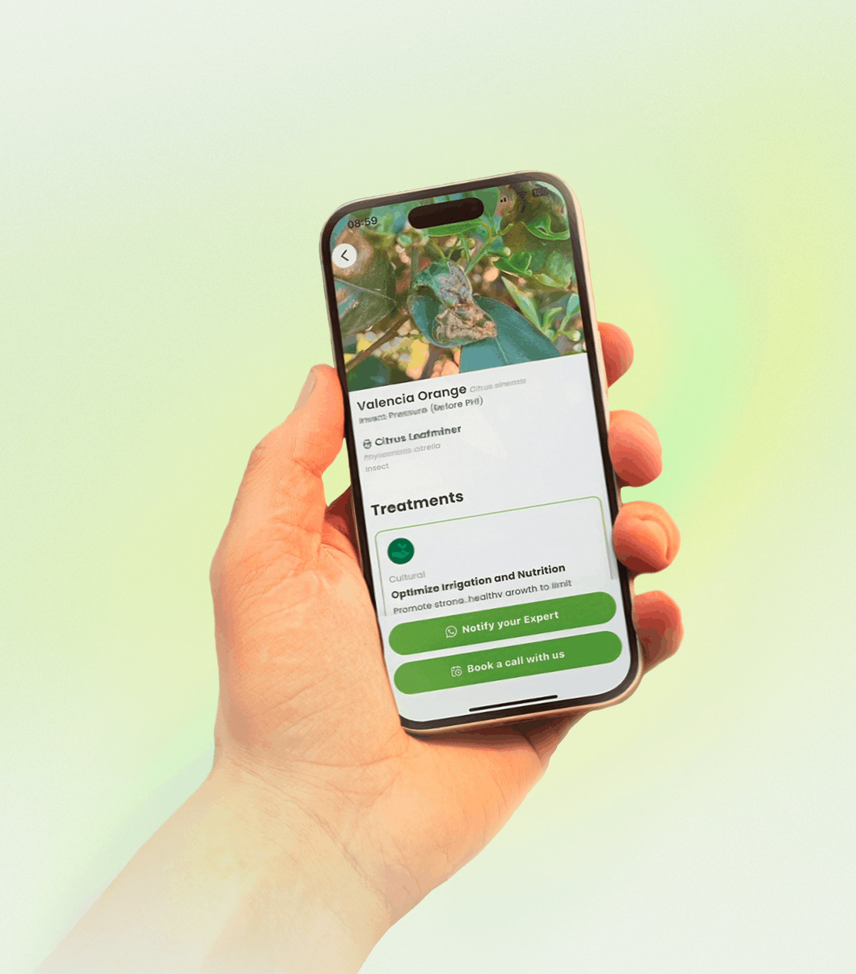mockup-mobile-2 mockup-mobile-2