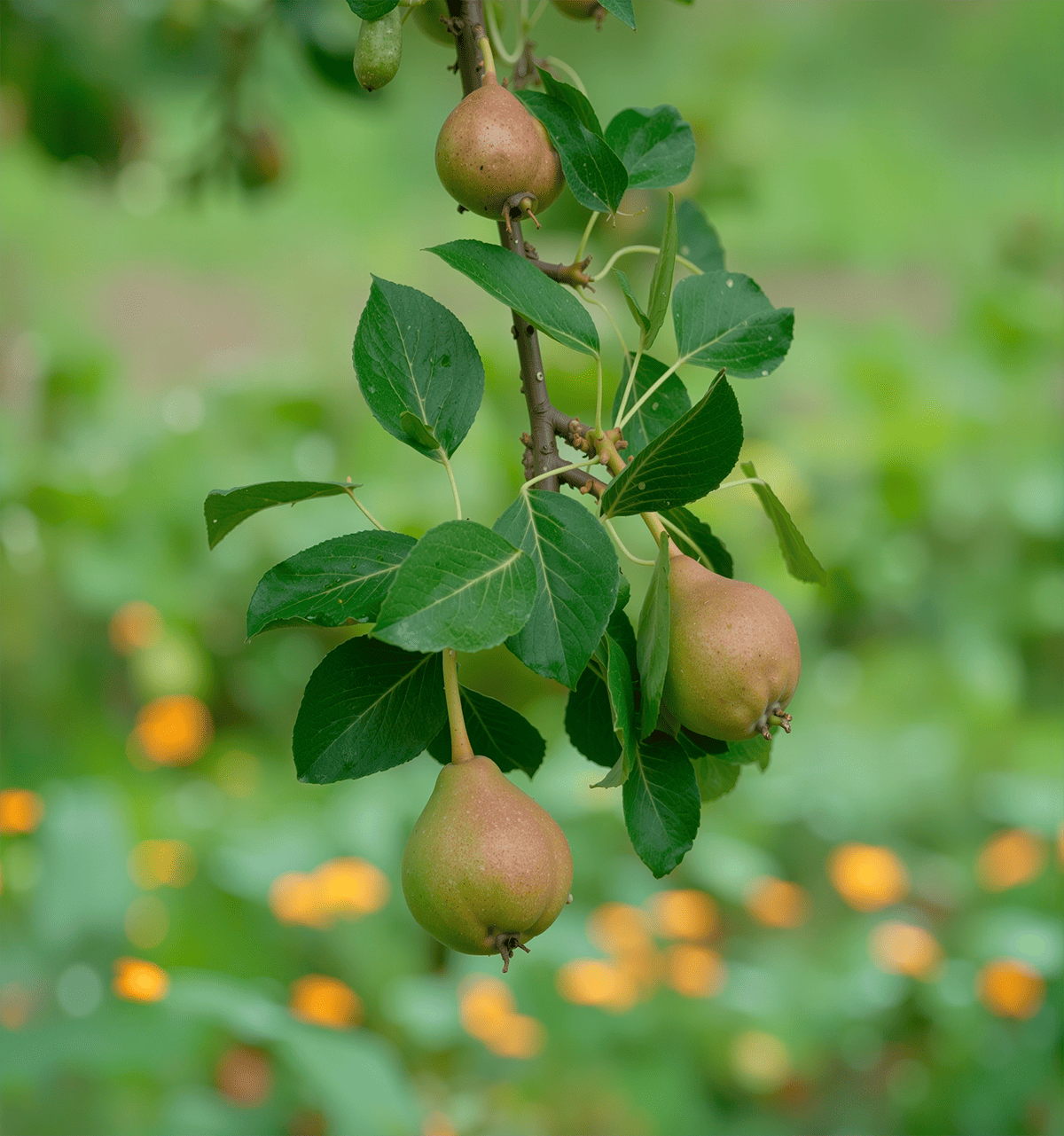 cooperativa fotográfica (1)