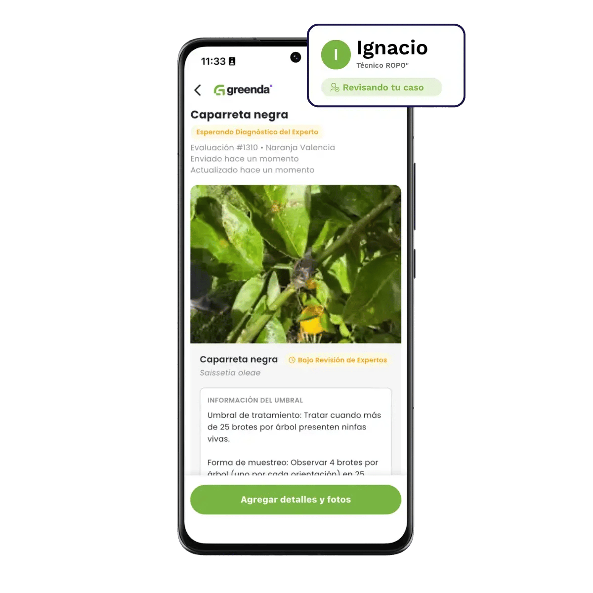 Recibe un plan de tratamiento gratuito de un agrónomo de tu zona