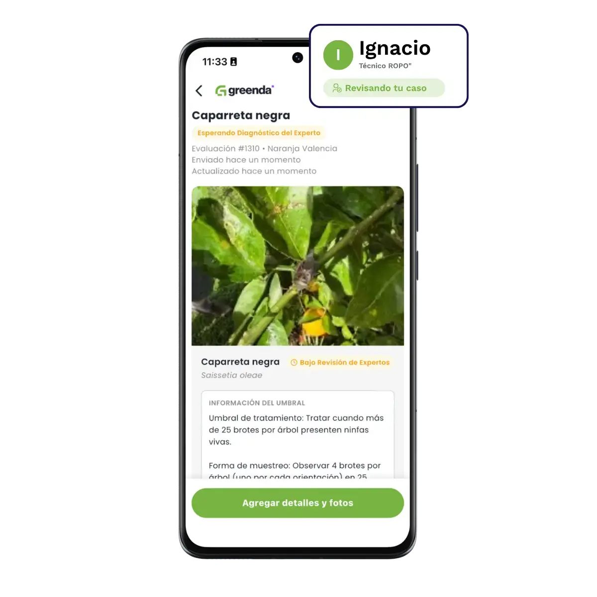 Recibe un plan de tratamiento gratuito de un agrónomo de tu zona