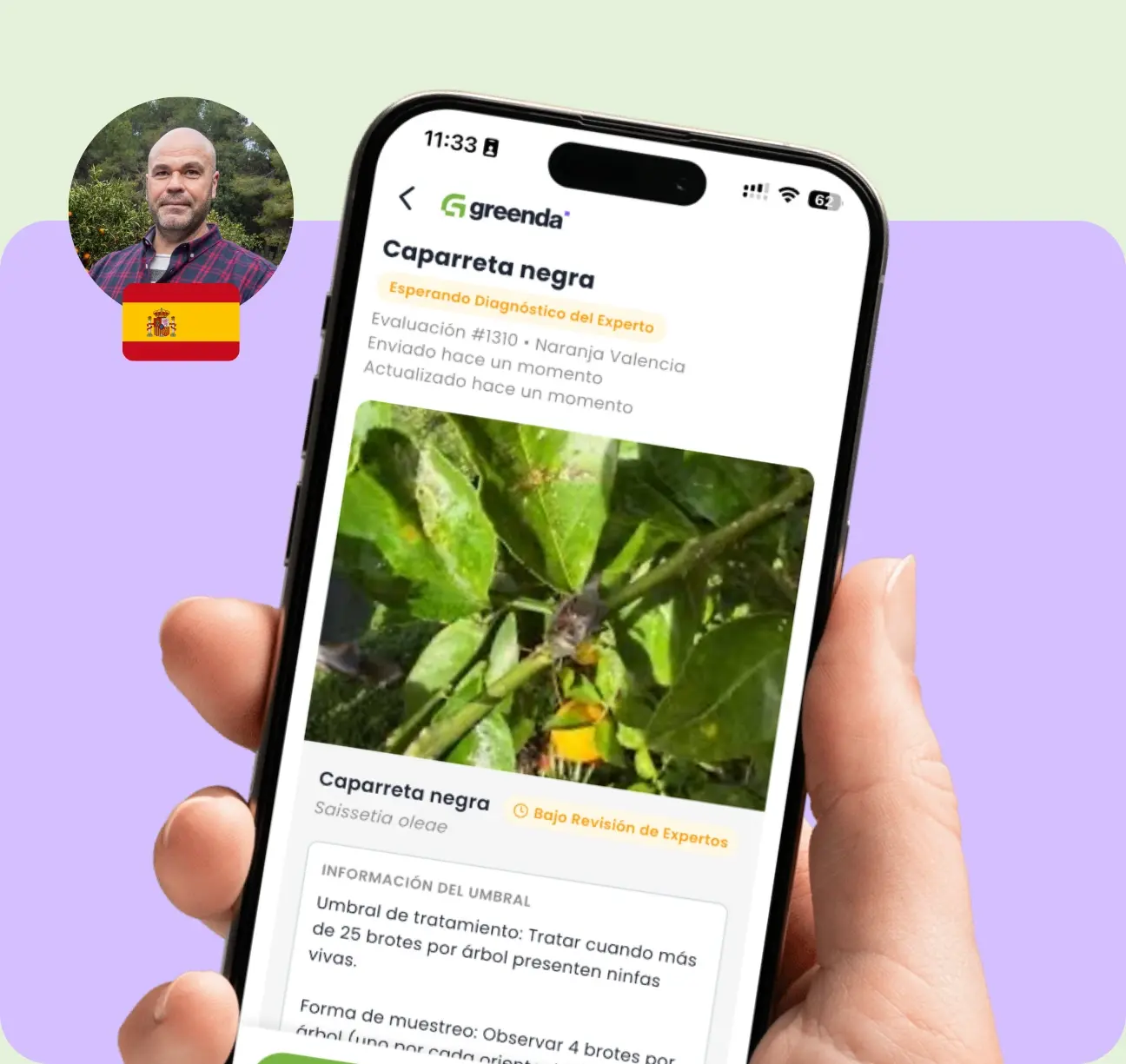 Haz una foto de tu plantación. Un agrónomo certificado de tu región analizará tu caso y te indicará exactamente cuándo y cómo tratar tus cultivos.
Gratis para los productores de cítricos. Asesoramiento independiente. Sin intención de vender nada.