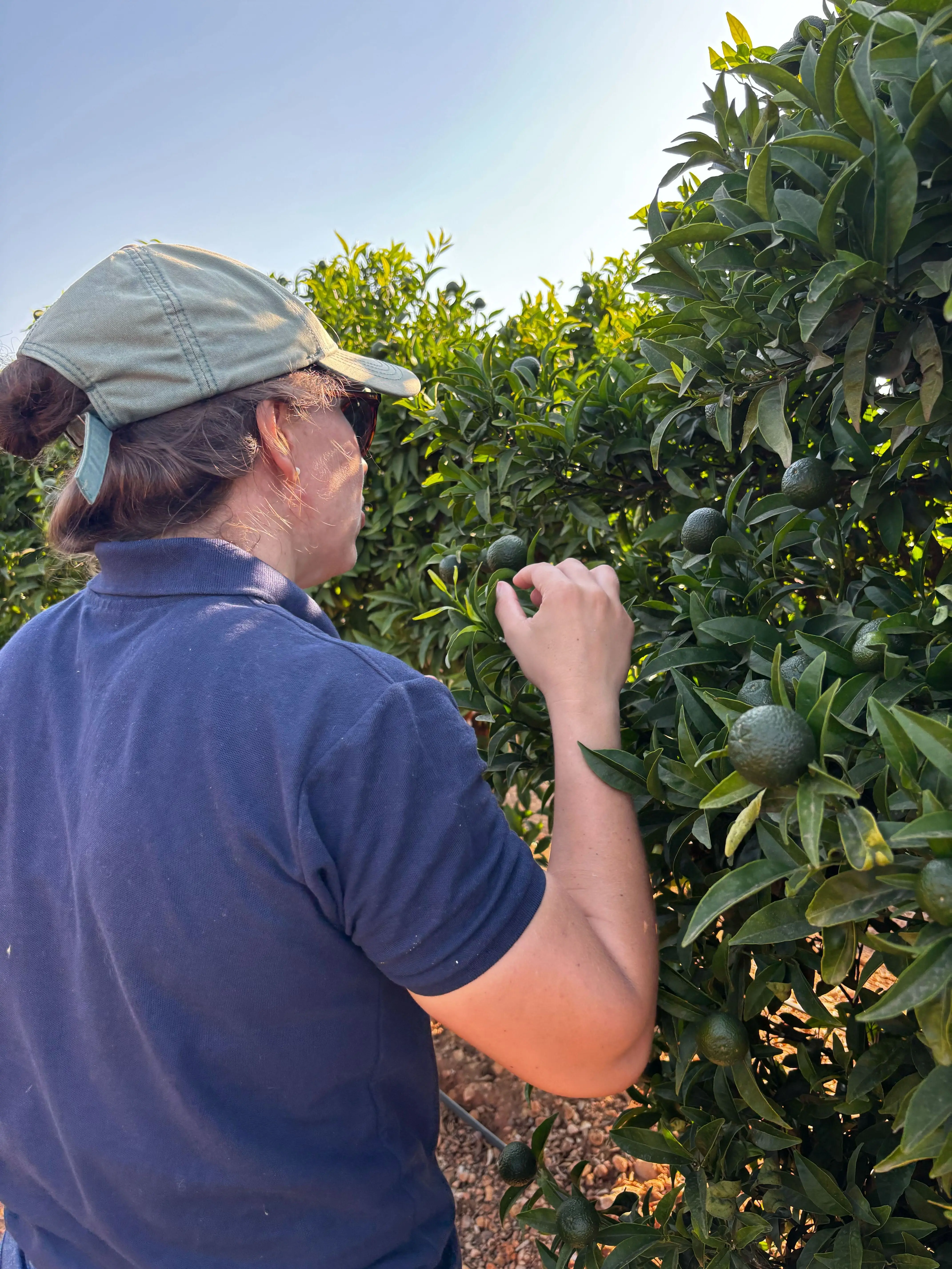 Carmen Greenda Agri-Expert