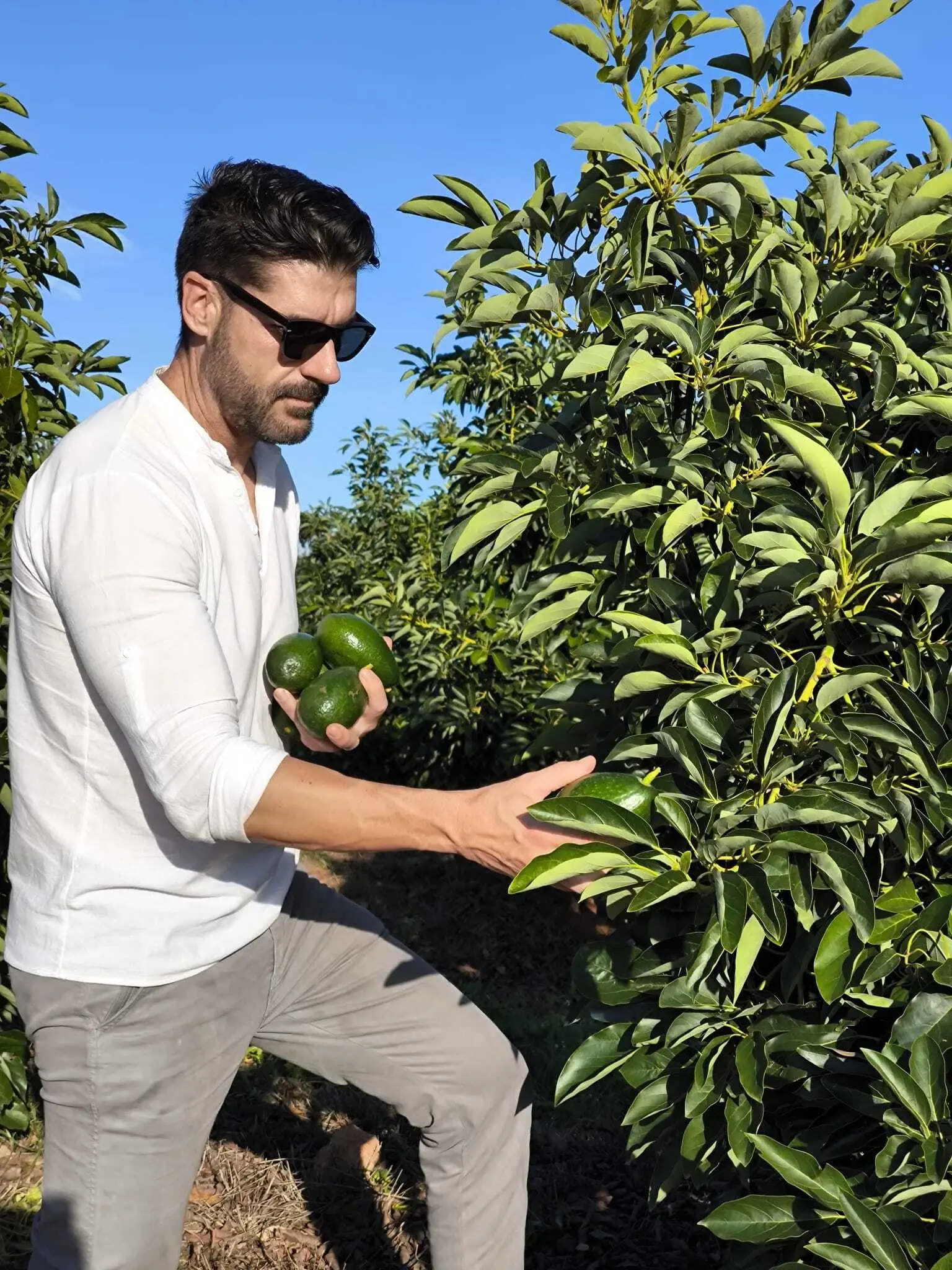 Óscar Dembilio Greenda Agri-Expert