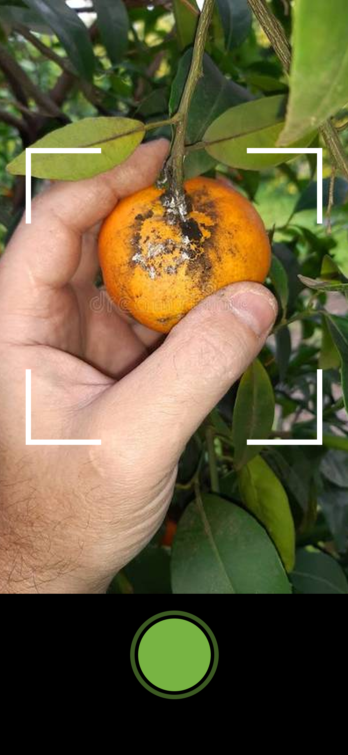 App for farmers